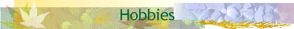 Hobbies