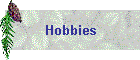 Hobbies