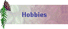 Hobbies